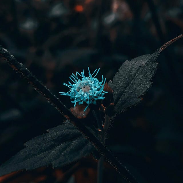 a drop of hope - Single