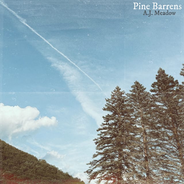 Pine Barrens - Single