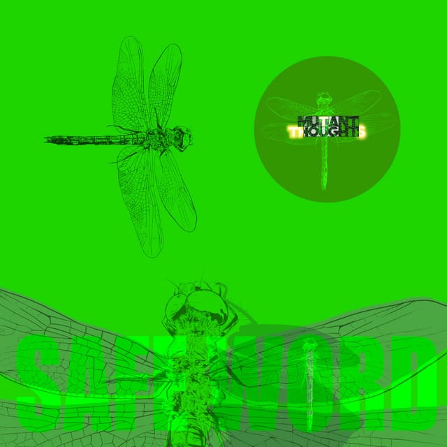 Safe Word - Single