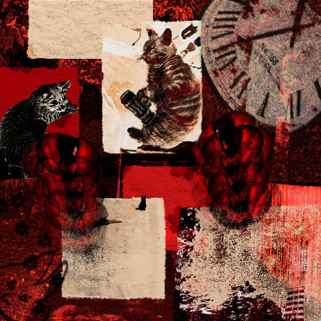 insomnia - Single