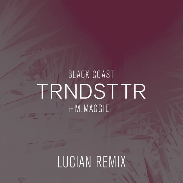 Trndsttr (feat. M. Maggie) [Lucian Remix]