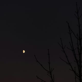 All With You - Single