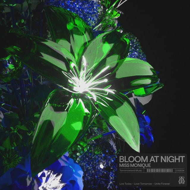 Bloom at Night