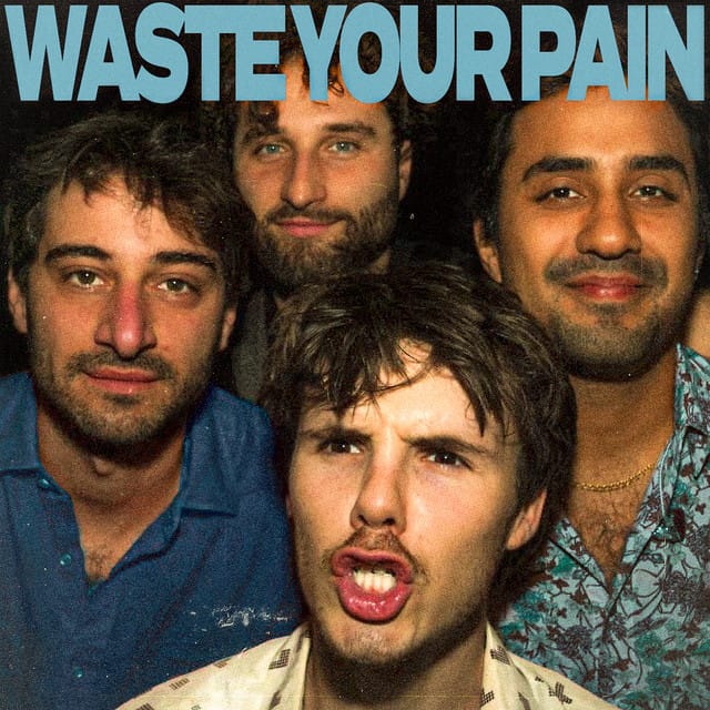 waste your pain - Single