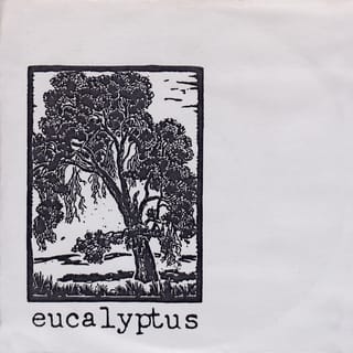 Eucalyptus