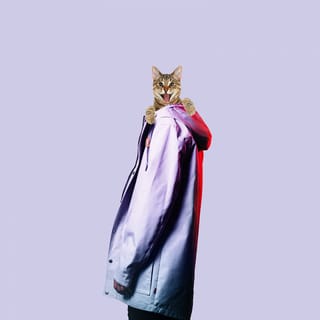 Crazy - Single