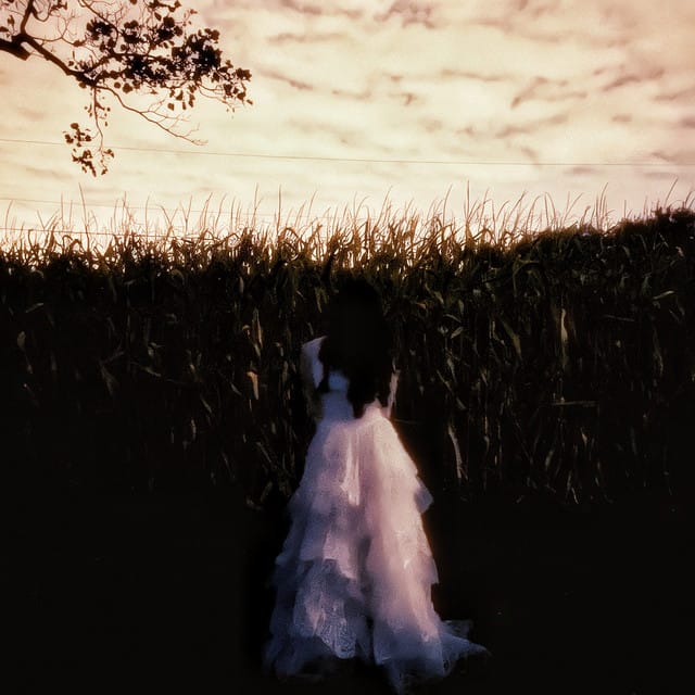 BLACK VEIL BRIDE - Single