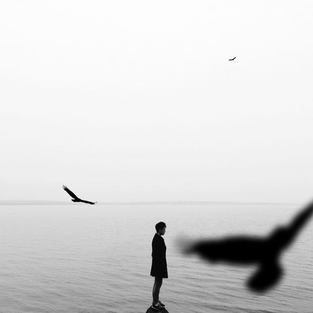Free Mind