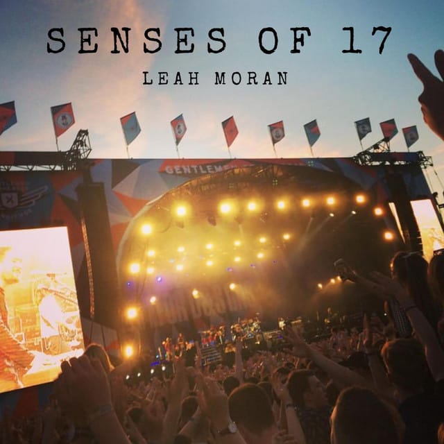 Senses of 17