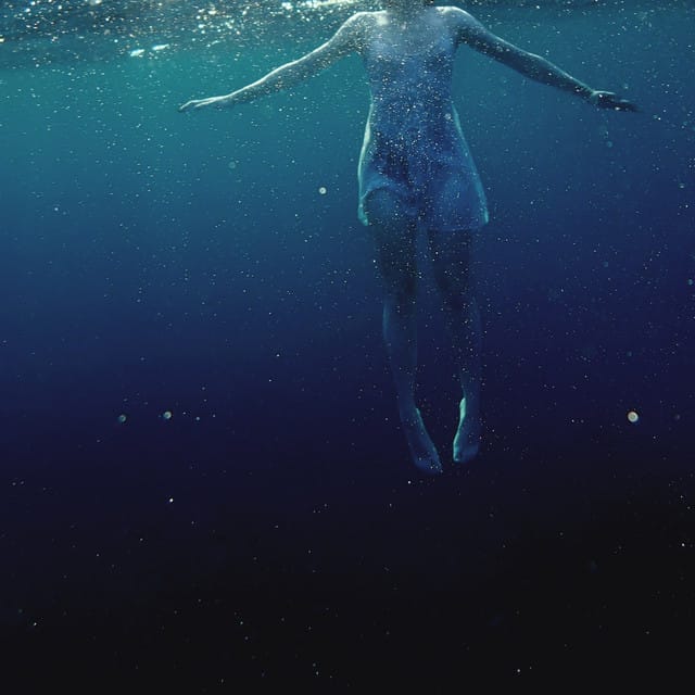 The Shark in Your Water