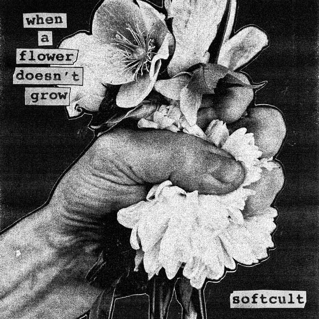 When a Flower Doesn't Grow