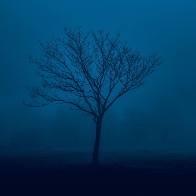 falling slowly, like autumn leaves - Single