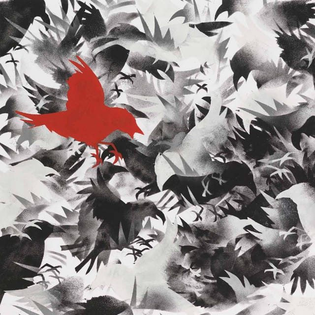 Birds of America