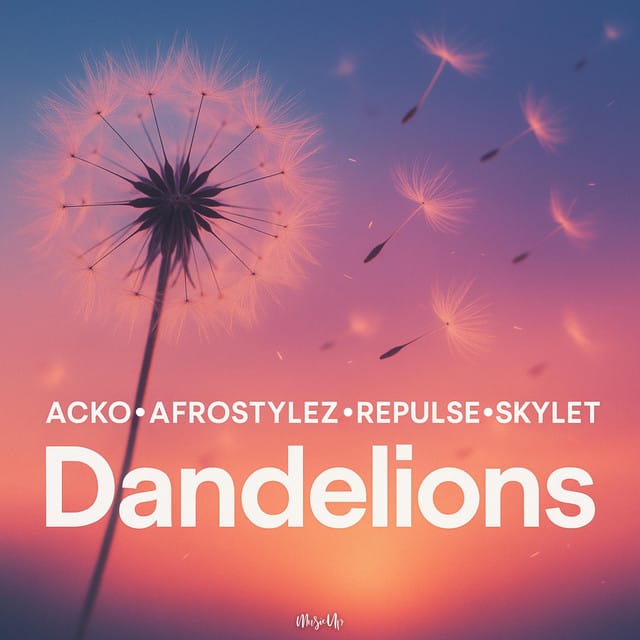 Dandelions