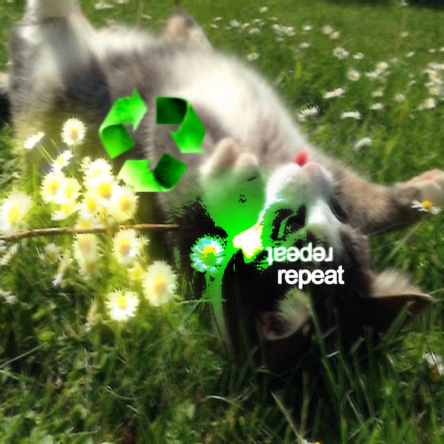 repeat