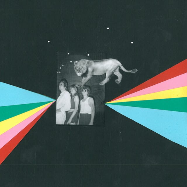 The Dandelion - Single