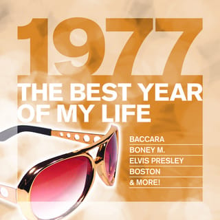 The Best Year Of My Life: 1977