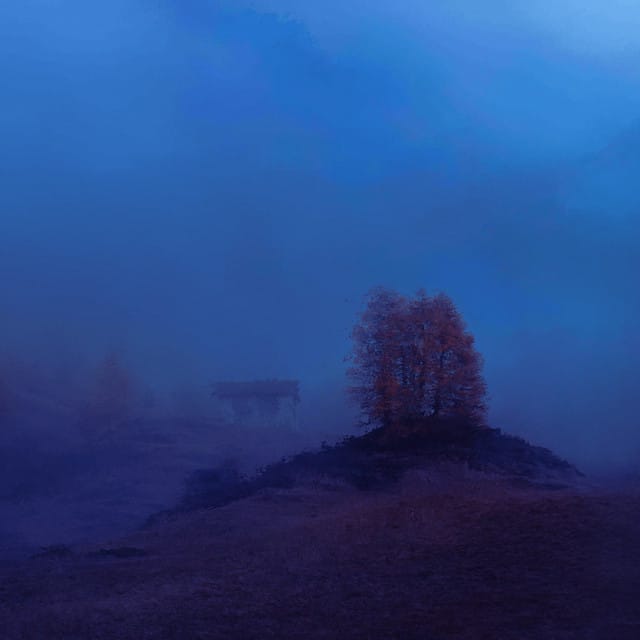 Snowfield - Single