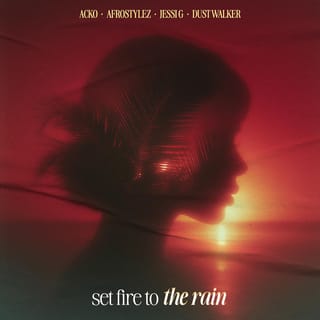 Set Fire To The Rain