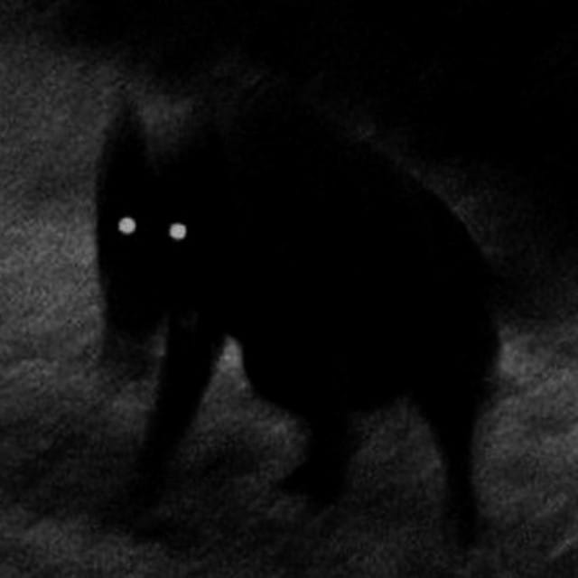 the dog. - EP