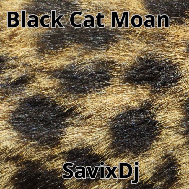 Black Cat Moan - Single