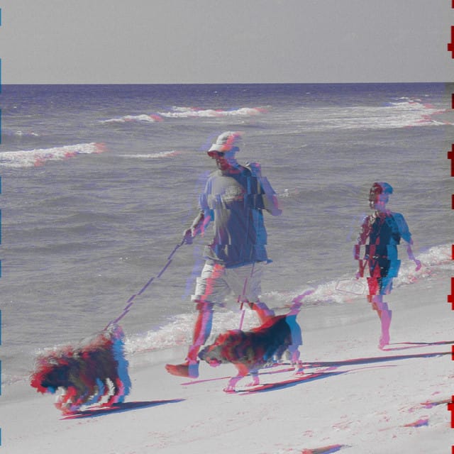 Two Dogs Better Than One