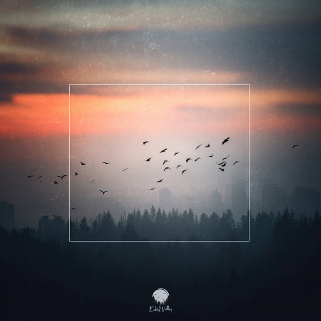 Echoes in the Valley, Vol. 12