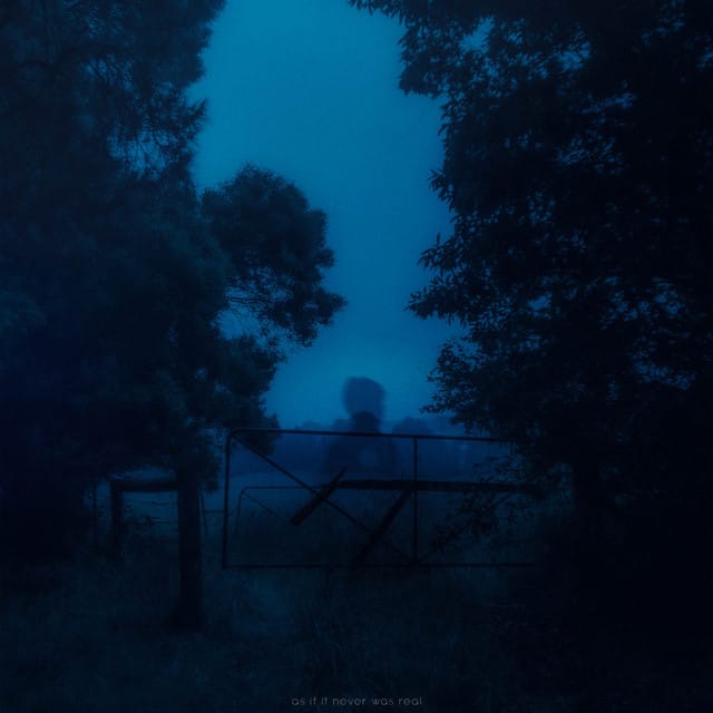 As If It Never Was Real - Single