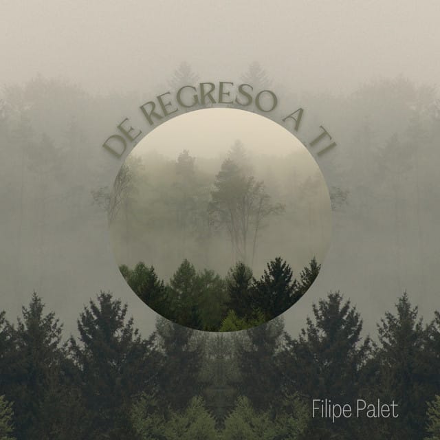 De Regreso A Ti