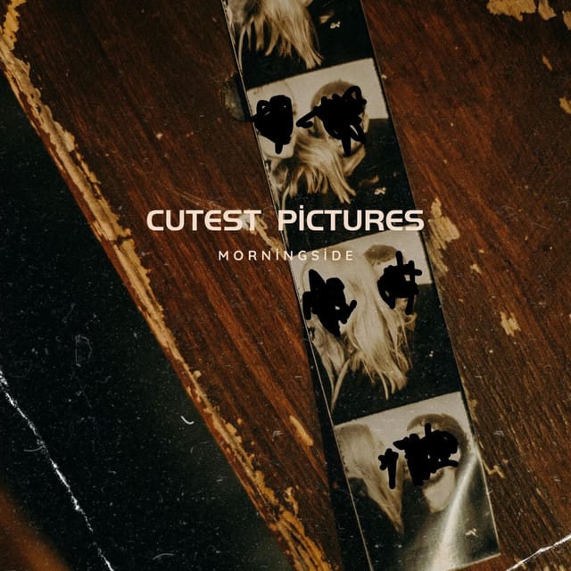 Cutest Pictures - Single