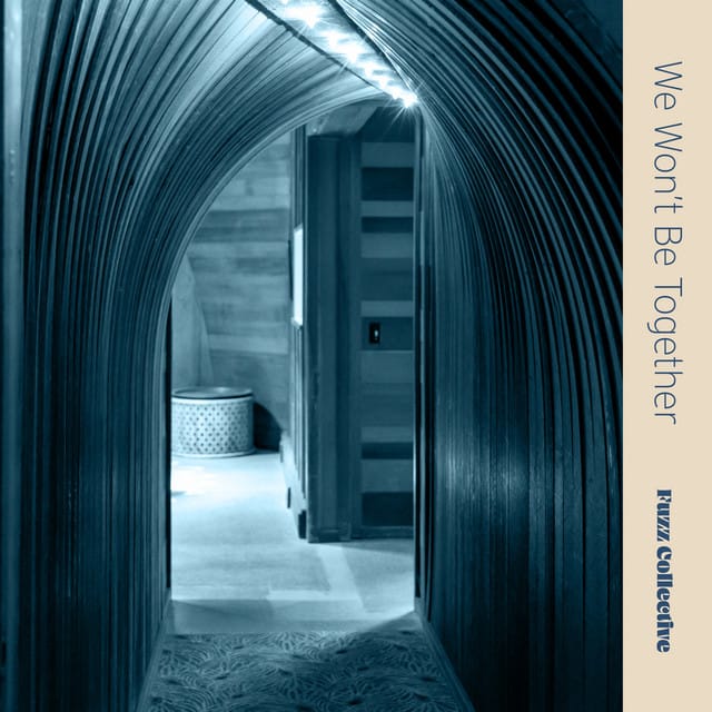 We Won't Be Together - Single