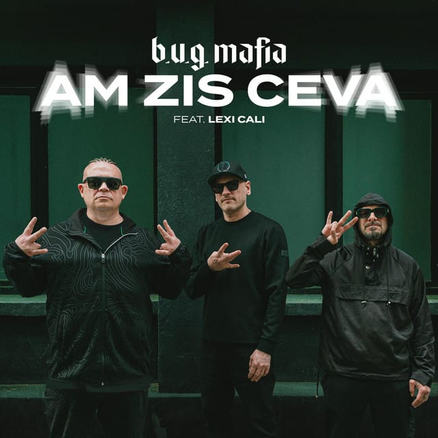 Am zis ceva