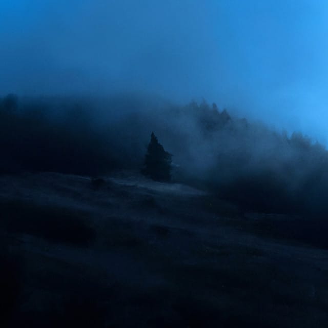 reverie