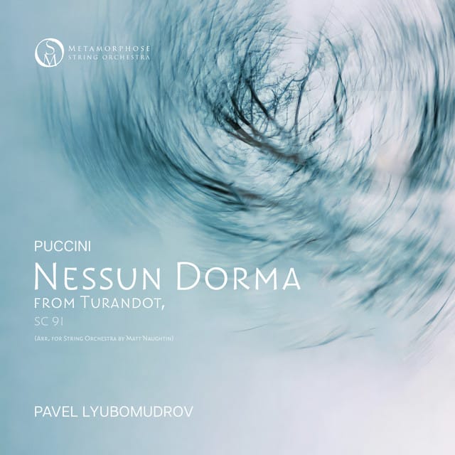 Turandot, SC 91: "Nessun Dorma" (Arr. for String Orchestra by Matt Naughtin)