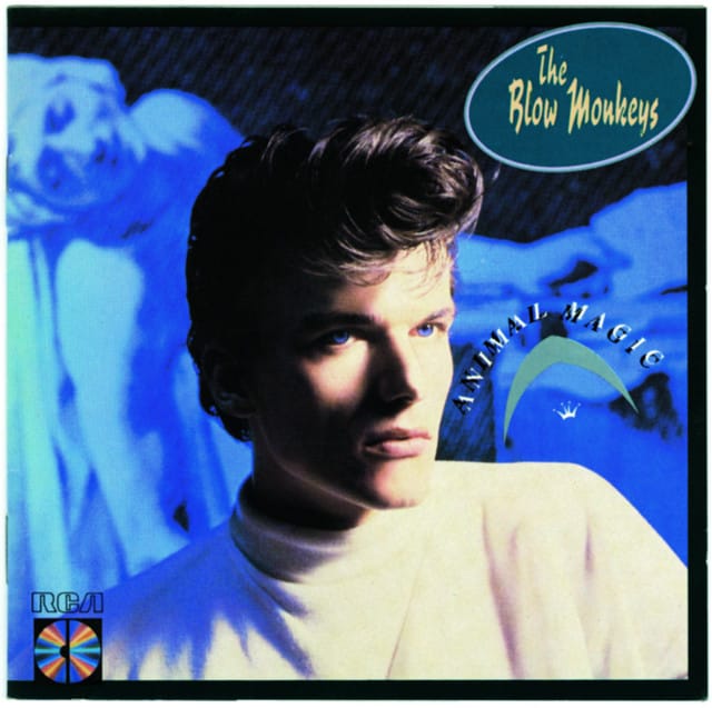 Don’t Be Scared of Me