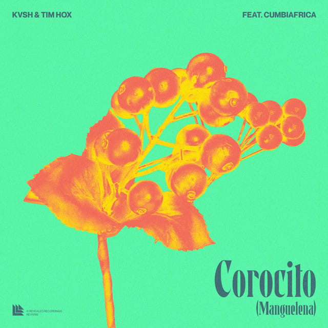 Corocito