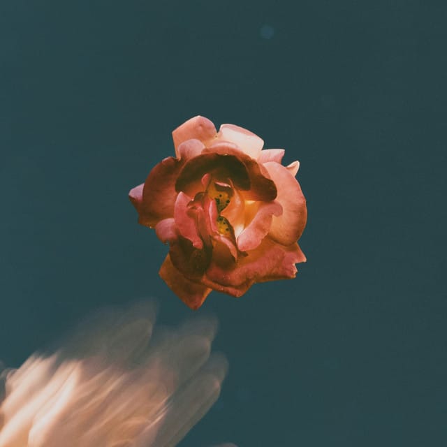 Open Up - Single