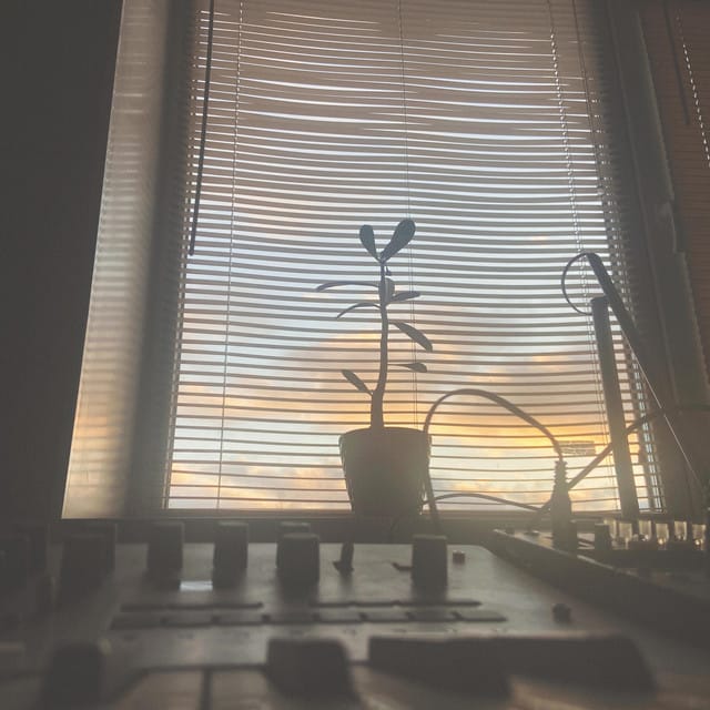 yellow skies, take me there