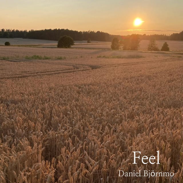 Feel - Single