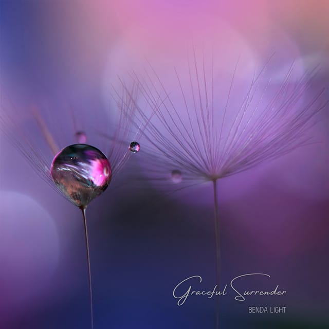Graceful Surrender
