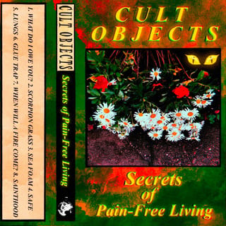 Secrets of Pain - Free Living