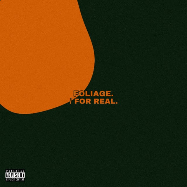 FOLIAGE / FOR REAL