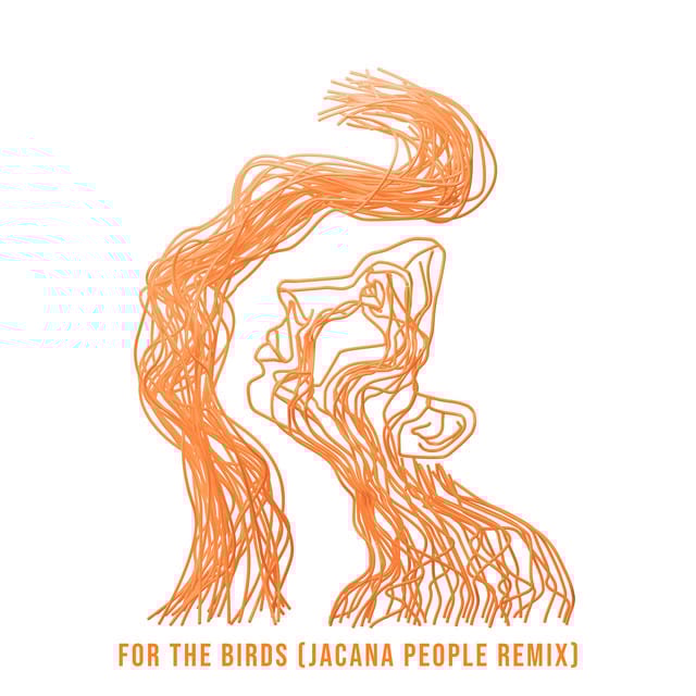 For the Birds (Jacana People Remix)