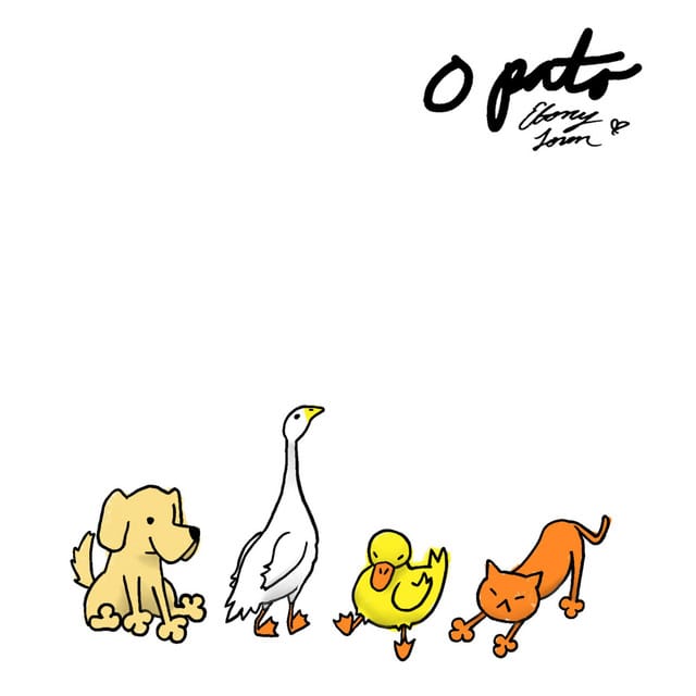 O pato