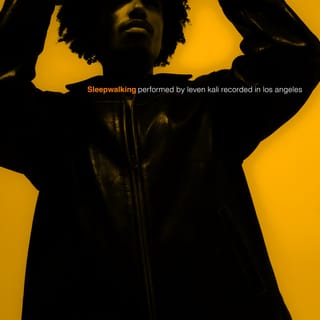 Sleepwalking