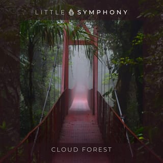 Cloud Forest