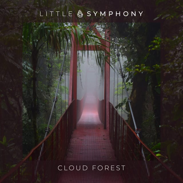Cloud Forest