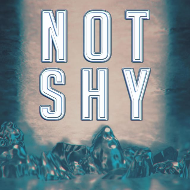 Not Shy