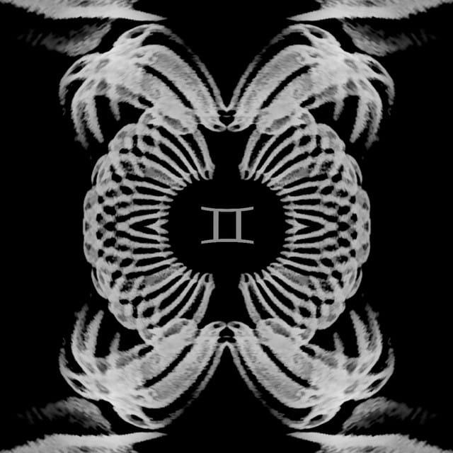 gemini
