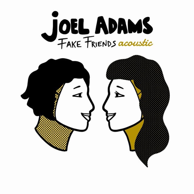 Fake Friends (Acoustic)